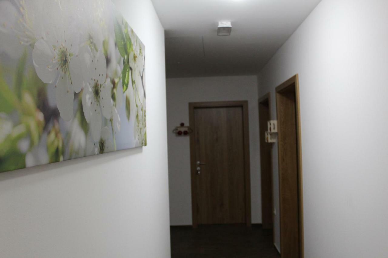 Vdovic Guest House Svecina Exteriör bild
