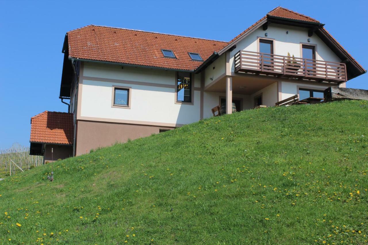 Vdovic Guest House Svecina Exteriör bild